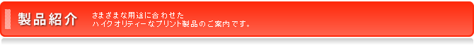 製品紹介